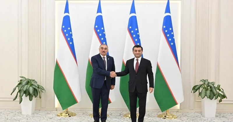 Rəşad Məmmədov etimadnaməsinin surətini Özbəkistan xarici işlər nazirinə təqdim edib