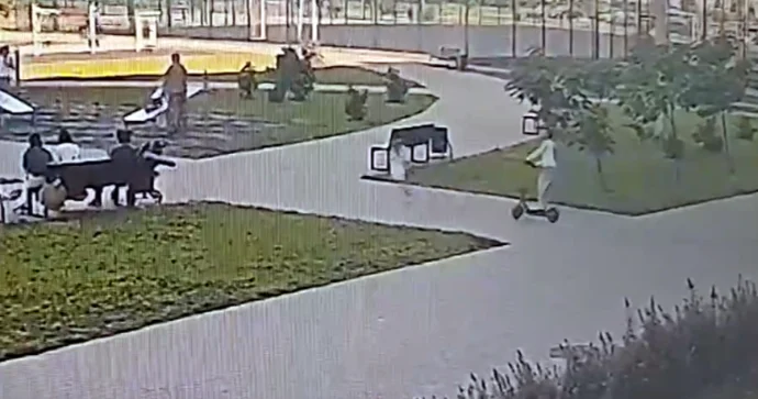 Skuter sürən məktəbli balaca qızı vuraraq qaçdı VİDEO