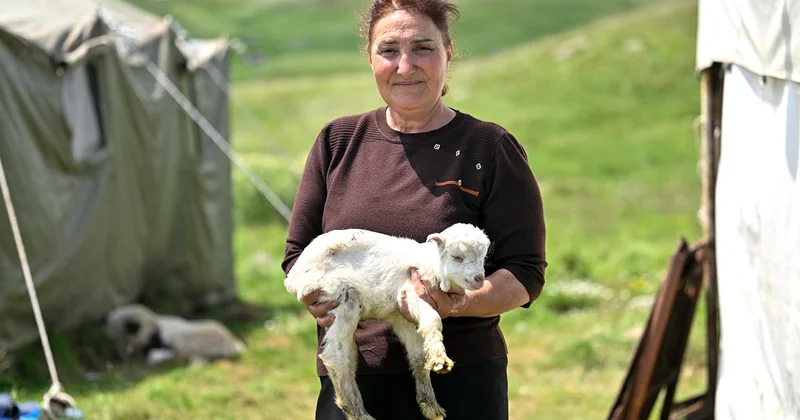 Kəlbəcər yaylaqlarında qızmar yay günü Fotolar