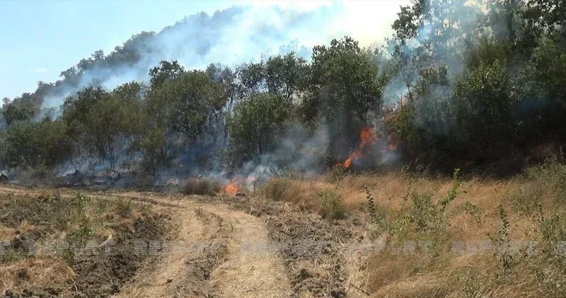 Ağdamın Kəngərli və Papravənd kəndlərindəki yanğınlar söndürüldü