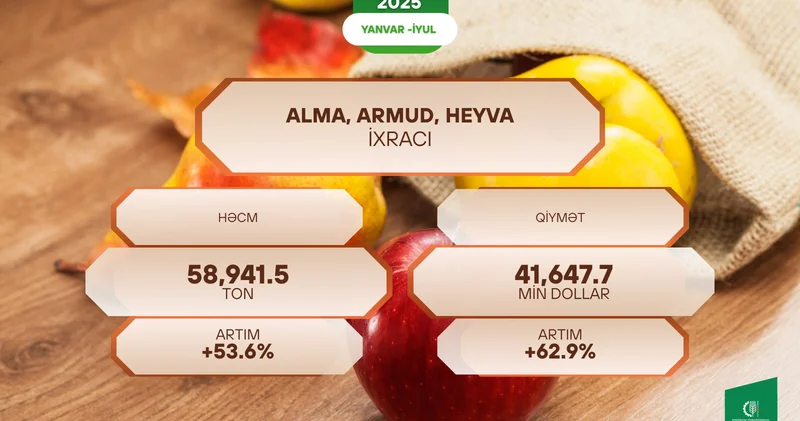 Azərbaycandan alma, armud və heyva ixracı 53,6% artıb
