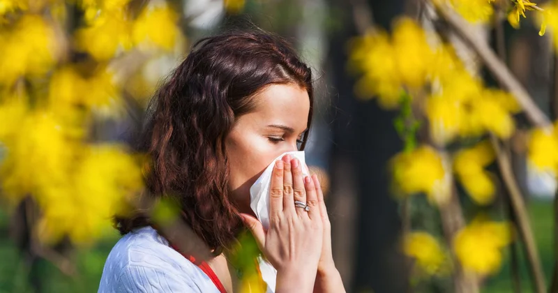 Mövsümi allergiyalara qarşı təbii üsullar