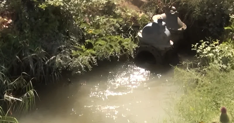 Hacıqabulda sakinlər qurdlu su içirlər? ŞİKAYƏT