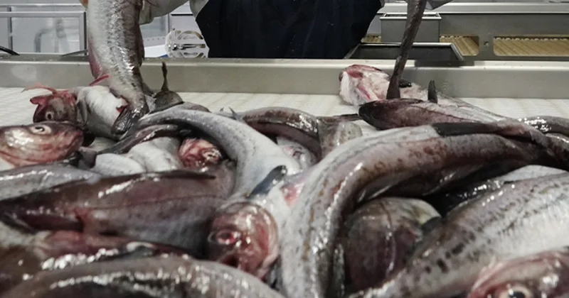 Россия угрожает норвежским морякам