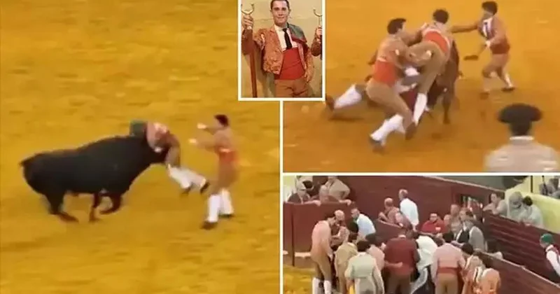 Tamaşa faciəyə çevrildi gənc matador həlak oldu, həkim infarkt keçirdi