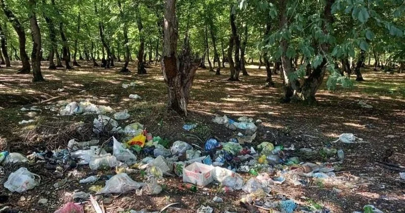 Cəriməni artırmaqla təbiəti qorumaq olmur