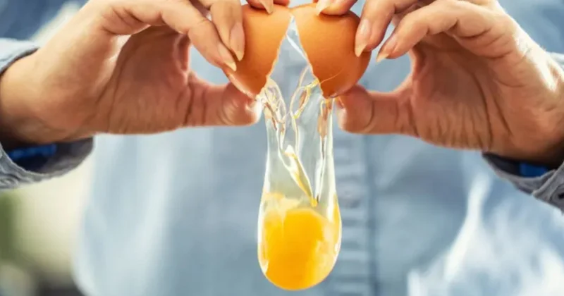 Böyük Britaniyada salmonellaya yoluxanalrın sayı 500 ə yaxınlaşıb