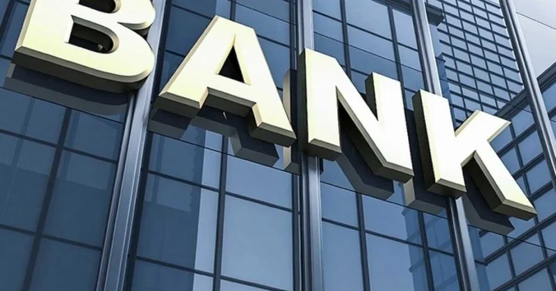 Azərbaycan iqtisadiyyatına kredit qoyuluşunda dövlət və özəl bankların payı artıb