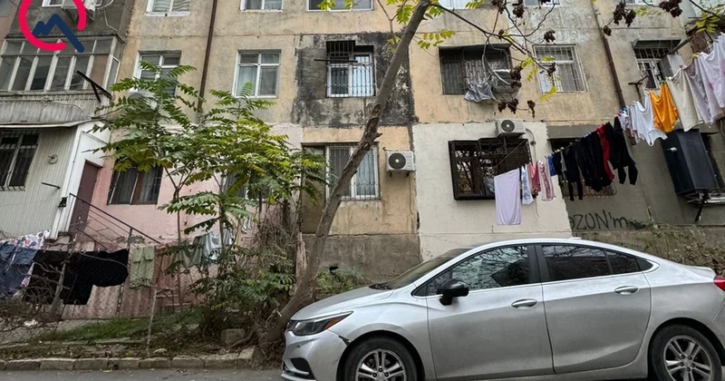 Bu ağac hər an aşa bilər... Fotolar