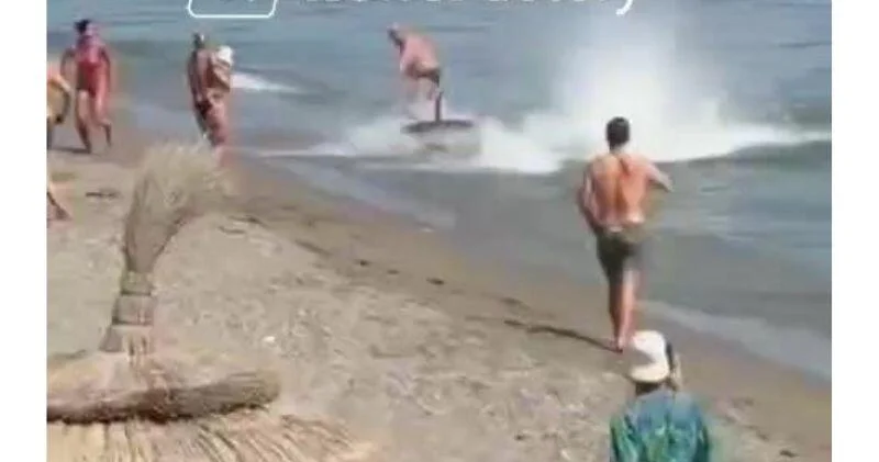В Марбелье огромная рыба вызвала панику на пляже ВИДЕО