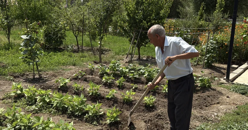 “Laçında ağac becərmək mənim üçün övlad böyütmək qədər əzizdir” 32 il sonra doğma torpaqda