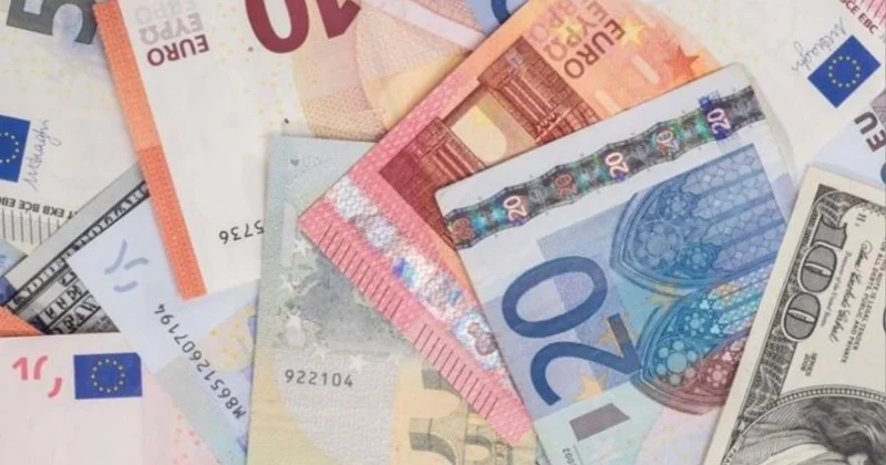 Məzənnənin tez tez dəyişdiyi şəraitdə şirkətlər uzunmüddətli investisiya planlarını təxirə sala bilərlər İqtisadçı