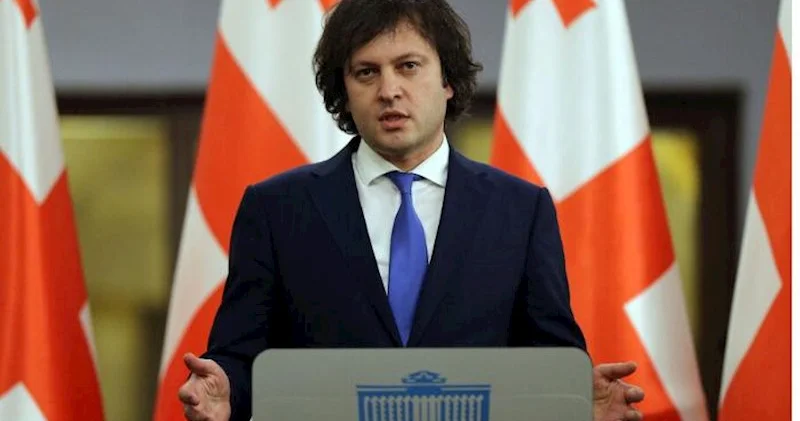 Gürcüstan Saakaşvilinin partiyasını qadağan etmək istəyir