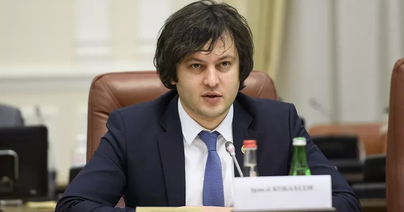Власти Грузии планируют подать иск о запрете партии Саакашвили