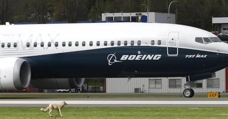 WSJ: Boeing выявила сбой в программном обеспечении самолетов 737 MAX