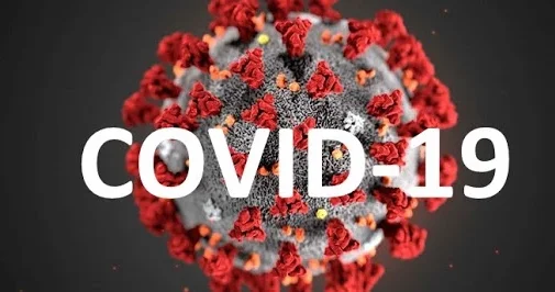 Новый штамм COVID 19 Франкенштейн выявлен в Турции