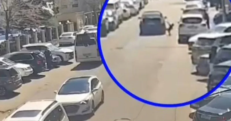 DYP “Piyadalar, diqqətli olun!” adlı təhlükəsizlik həftəliyi keçirir VİDEO