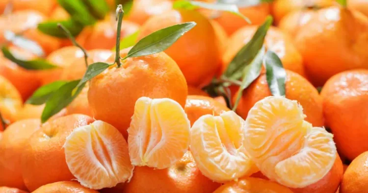 Mandarin yeməzdən əvvəl diqqət EDİN