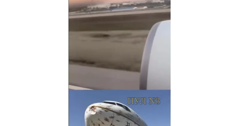 Что бывает, когда самолет встречается с птицами ВИДЕО