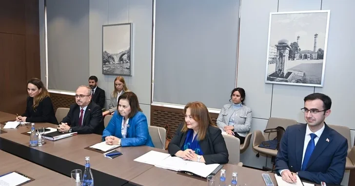 Азербайджан и Турция провели очередные политконсультации на уровне МИД