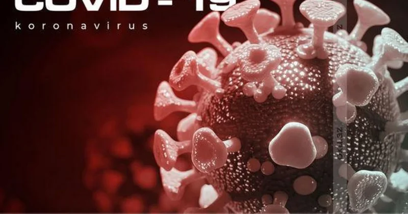 COVID 19 qayıdır: Türkiyədə Frankenşteyn variantı aşkarlandı
