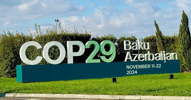 Palata COP29 üzrə maliyyə hesabatını müsbət qiymətləndirib