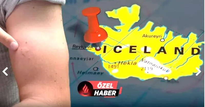 Hər yeri bürüyə bilərlər: 3 ağcaqanad ölkədə təşviş yaratdı