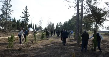 Tərtərdə “Konstitusiya və Suverenlik İli” çərçivəsində ağacəkmə aksiyası keçirilib