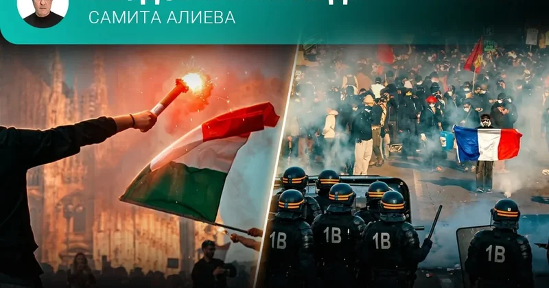 Единство и борьба противоположностей Неудобная правда Самита Алиева