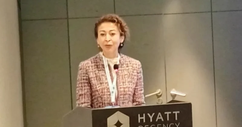 İcraçı direktor: Azərbaycanda iqtisadi şaxələndirmə prioritet hesab edilir