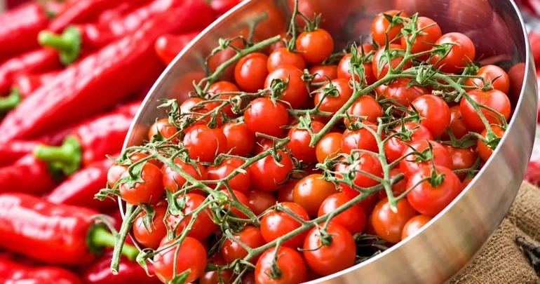Avropada çerri pomidor həyəcanı: 800 dən çox yoluxma qeydə alınıb