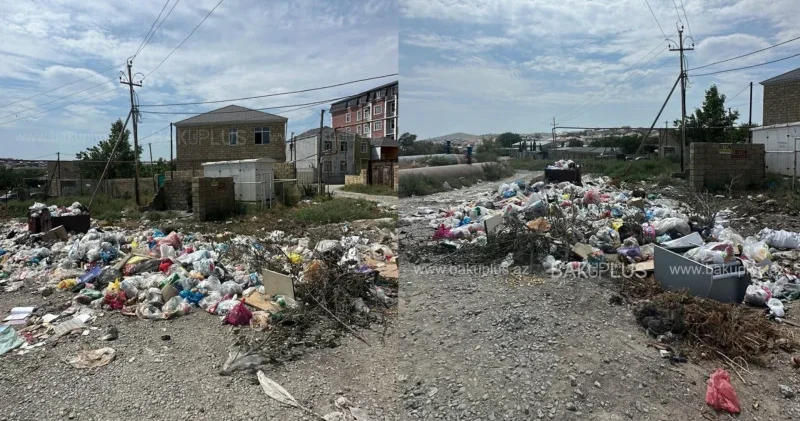 Masazırda zibil həftələrlə daşınmır ərazini siçovullar bürüyüb