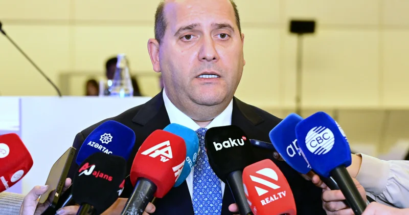Xüsusi nümayəndə: İşğal dövründə mədəni irsimizin bir çox nümunəsi ya təhqir olunub, ya da tamamilə dağıdılıb