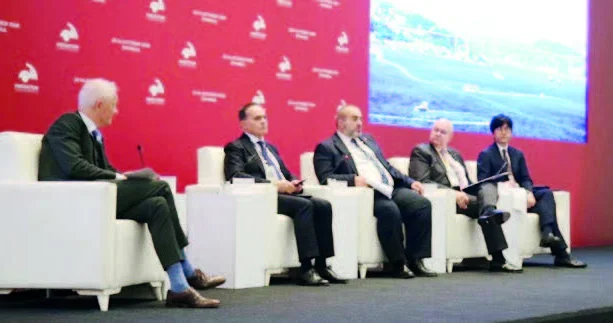 Orta Dəhlizin gələcəyi Cənubi Qafqazda sabitlikdən keçir