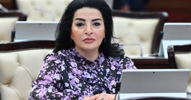 Ədalətli sülh yalnız keçmişin ağrısını düzgün dərk etməklə mümkündür