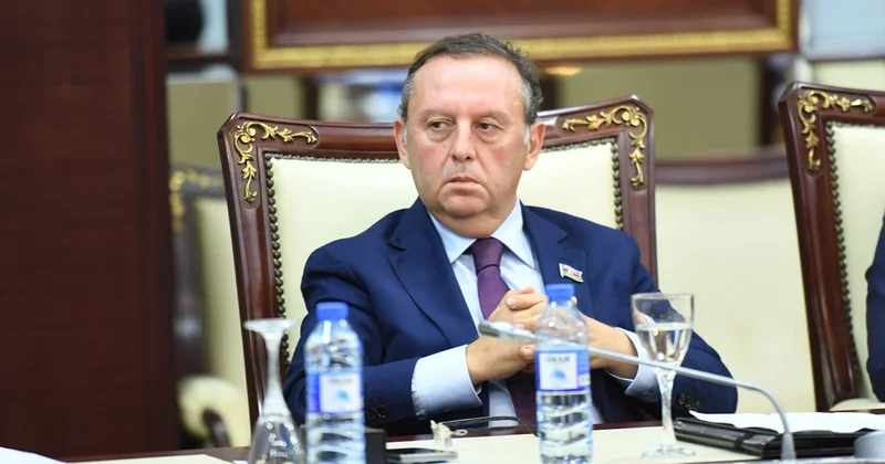 “Bu, ölkəmizin daxili işlərinə qarışmaqdır”