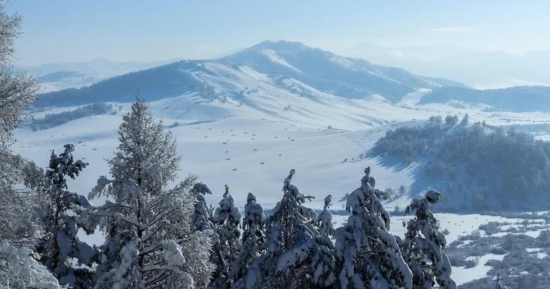 В украинских Карпатах уже снег ВИДЕО