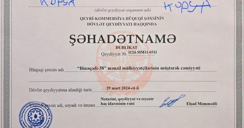 Bəs nə edim?