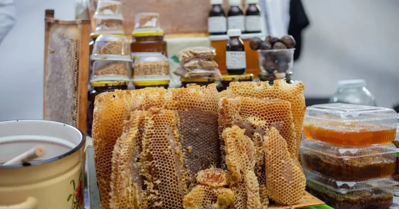 Bal yarmarkasının keçiriləcəyi tarix açıqlandı