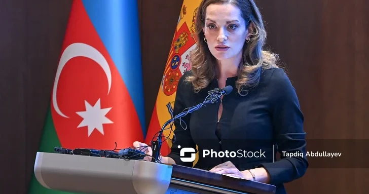 Зиба Мустафаева: SOCAR определила три приоритета работы Центра лидерства и инноваций IE University