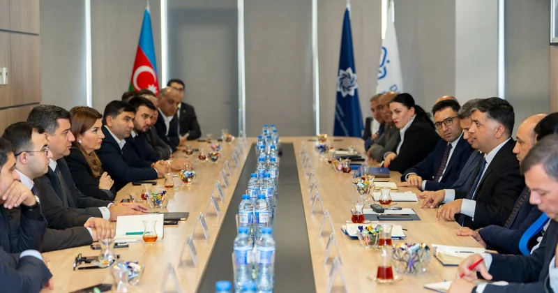 Marsol Group və Dövlət Məşğulluq Agentliyi arasında işgüzar görüş keçirildi FOTOLAR