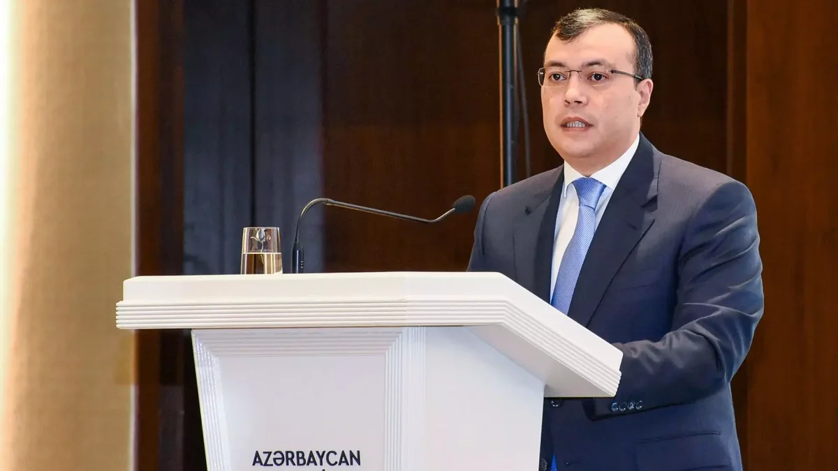 Sahil Babayev: İşləməyib əlil olan vətəndaş pensiya deyil, müavinət sisteminə daxil ediləcək