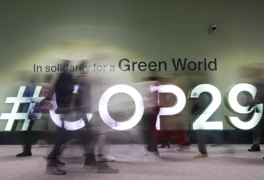 COP29da ən çox kiberhücum olunan saytlar