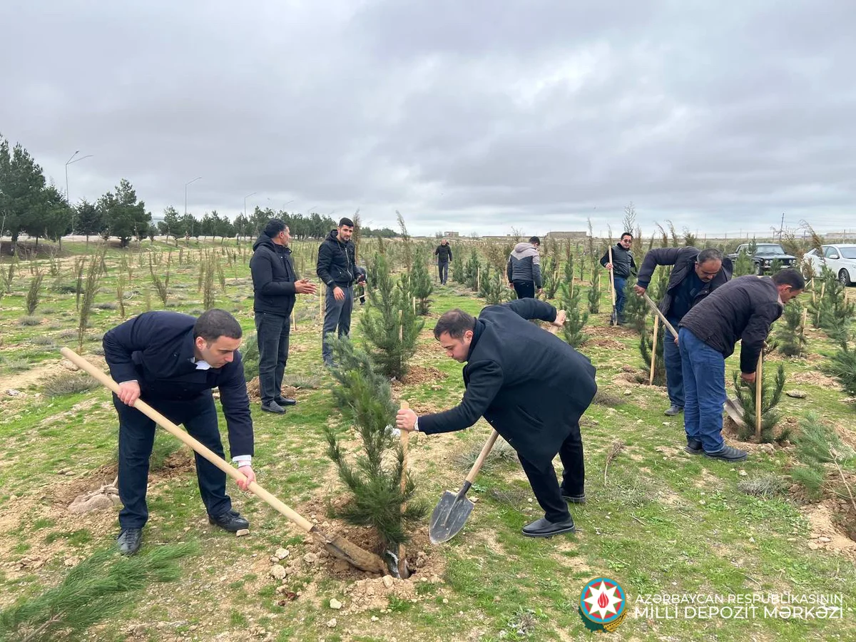 Milli Depozit Mərkəzi Xəzər rayonu ərazisində ağacəkmə tədbiri keçirib