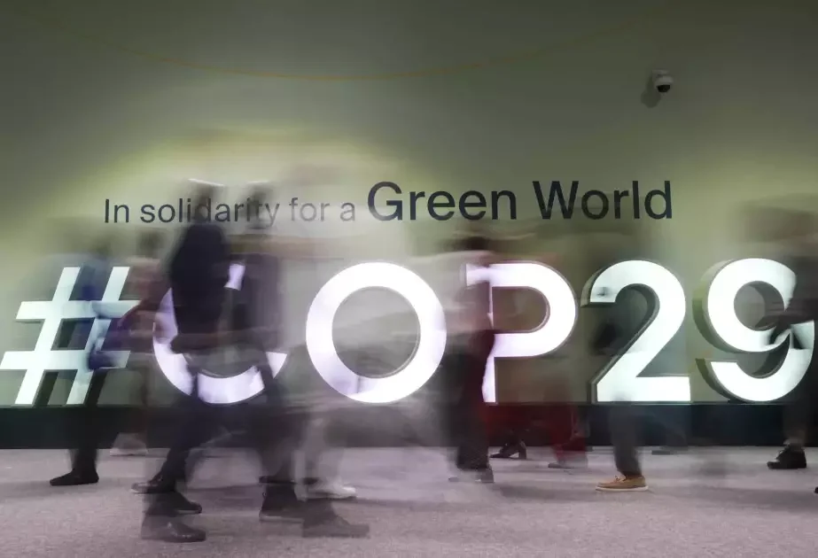 COP29 ərəfəsində ən çox kiberhücuma məruz qalan saytlar açıqlanıb