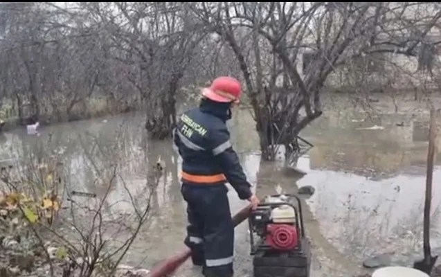 Alekseyevka kəndini su basdı Video