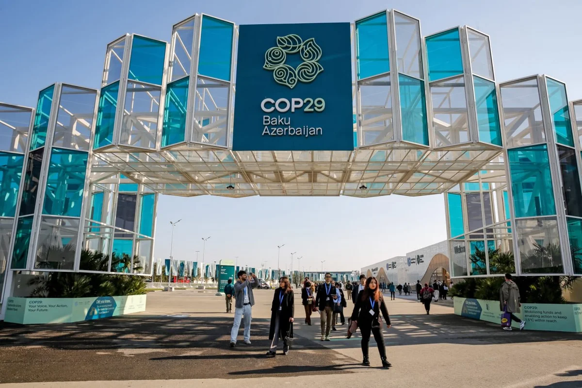 Захарова: На COP29 развитые страны стремились избежать ответственности