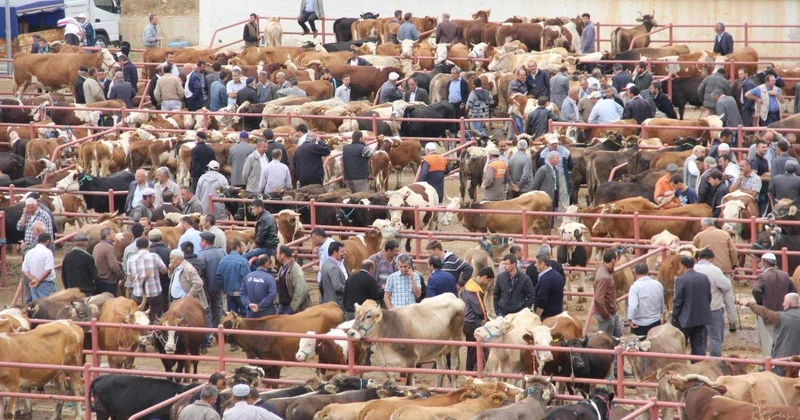 Bağlanan heyvan bazarları ilə bağlı açıqlama: “Mümkün olmayacaq”
