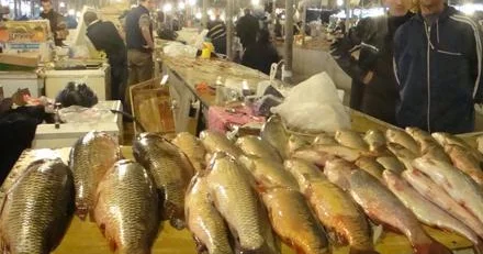 Əgər balığın qarnı belədirsə, almayın!