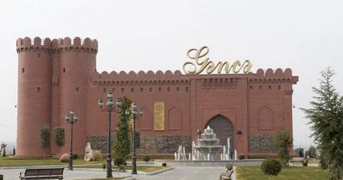 Gəncə sakinindən Birinci vitse prezidentə MÜRACİƏT “Sizdən başqa heç bir dayağımız, güman yerimiz yoxdur...”